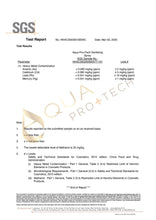 Load image into Gallery viewer, AQUA PRO+TECH 全效防疫消毒滅菌噴霧 300ml 霧化噴樽