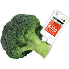 Load image into Gallery viewer, Greentest 測試水果和蔬菜中的硝酸鹽含量
